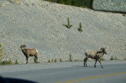 CANADA05-20-180.jpg