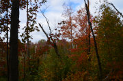 CANADA10-03-180.jpg