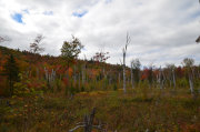 CANADA10-04-180.jpg
