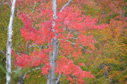 CANADA10-05-180.jpg
