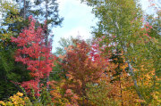 CANADA10-14-180.jpg