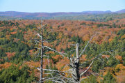 CANADA11-14-180.jpg