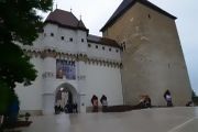 CHAM071-S.jpg