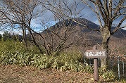 1201-01_s.jpg
