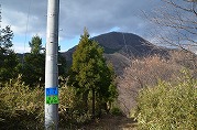 1201-02_s.jpg