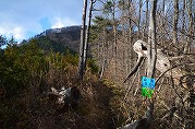 1201-06_s.jpg