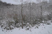 1215-01_s.jpg