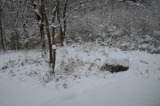 1215-03_s.jpg