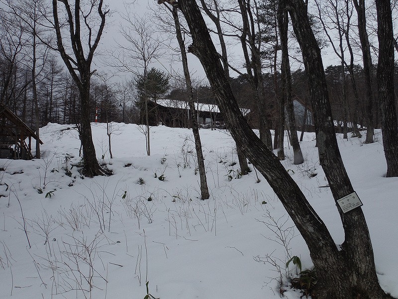 1228-04_s.jpg