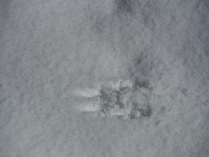 1228-08_s.jpg