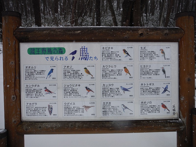 1228-09_s.jpg
