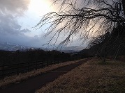 1231-04_s.jpg