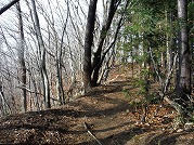 0101-09_s.jpg