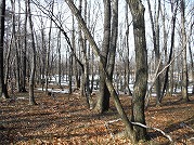 0101-10_s.jpg