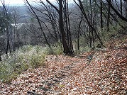 0101-12_s.jpg