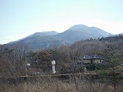 0101-15_s.jpg