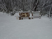 0102-02_s.jpg