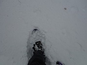 0102-03_s.jpg