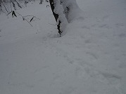 0102-04_s.jpg