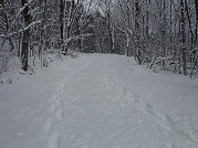 0102-06_s.jpg