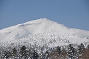 0101-01_s.jpg