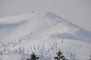 0101-02_s.jpg