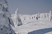 0101-03_s.jpg