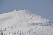 0101-05_s.jpg