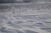 0101-08_s.jpg