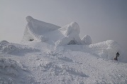 0101-12_s.jpg