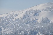 0101-13_s.jpg
