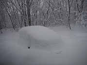 0101-01_s.jpg