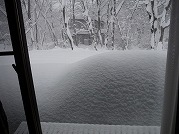 0101-02_s.jpg