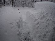 0101-03_s.jpg