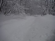 0101-05_s.jpg