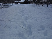 0101-01_s.jpg