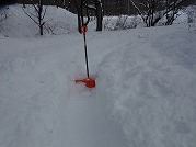 0101-02_s.jpg