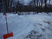 0101-03_s.jpg