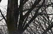 0101-01_s.jpg