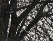 0101-02_s.jpg