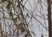 0101-03_s.jpg