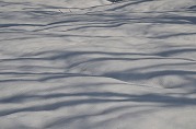 0101-05_s.jpg