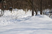 0101-06_s.jpg