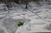 0101-09_s.jpg