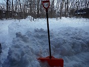 0101-02_s.jpg