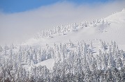 0101-01_s.jpg