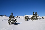 0101-03_s.jpg