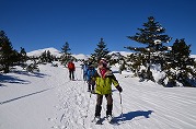 0101-05_s.jpg