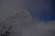 0101-06_s.jpg