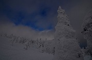 0101-07_s.jpg
